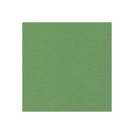 CARTULINA MI-TEINTES DE 160 G 50X65 CM
