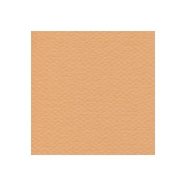 CARTULINA MI-TEINTES DE 160 G 50X65 CM