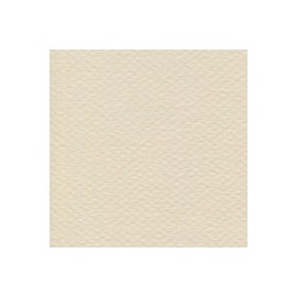 CARTULINA MI-TEINTES DE 160 G 50X65 CM