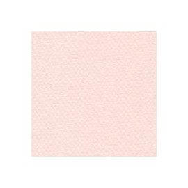 CARTULINA MI-TEINTES DE 160 G 50X65 CM