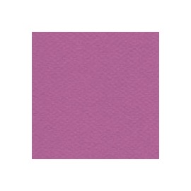 CARTULINA MI-TEINTES DE 160 G 50X65 CM