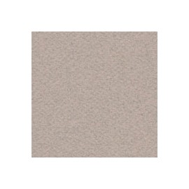 CARTULINA MI-TEINTES DE 160 G 50X65 CM