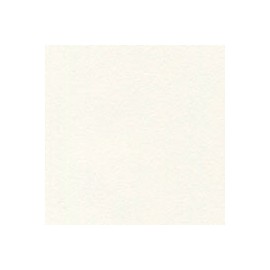 CARTULINA CLASSIC EGGSHELL DE 216 G 66X101 C ...