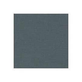 CARTULINA CLASSIC LINEN DE 216 G 66X101 CM