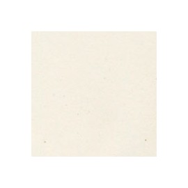 CARTULINA ENVIRONMENT DE 216 G 66X101 CM