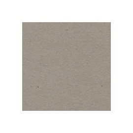 CARTULINA ENVIRONMENT RAW DE 216 G 66X101 CM