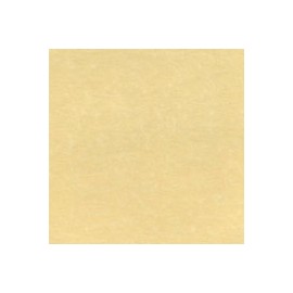CARTULINA ASTROPARCHE DE 176G 58X89CM