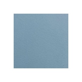 CARTULINA FIRENZE DE 160 G 70X100 CM