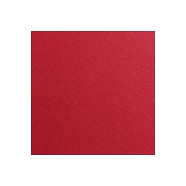 CARTULINA FIRENZE DE 160 G 70X100 CM
