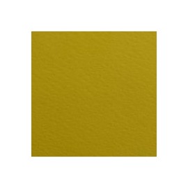 CARTULINA FIRENZE DE 160 G 70X100 CM