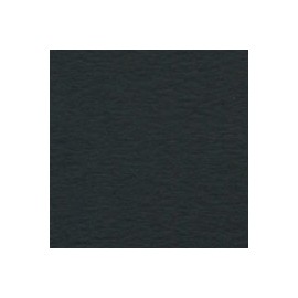 CARTULINA WILD LETTERPRESS DE 450 G 72X102 C ...