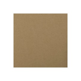CARTULINA WILD LETTERPRESS DE 450 G 72X102 C ...