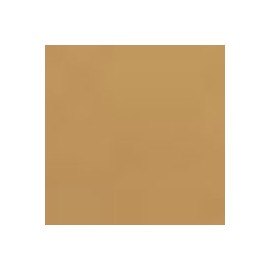 CARTULINA COLOR PRINT 70X100 CM 200 G