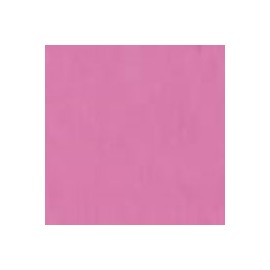 PAPEL COLOR PRINT 70X100 CM 90 G