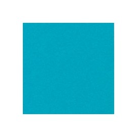 CARTULINA ASTROBRIGHTS DE 176 G 58X89 CM