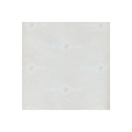PAPEL SEGURIDAD OAK TREE 90G 56X86CM