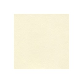 PAPEL SUNDANCE FELT DE 104G 63.5X96.5CM