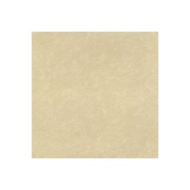 PAPEL ASTROPARCHE DE 90G 58X89CM