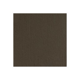 CARTULINA CLASSIC WOODGRAIN DE 216 G 66X101  ...