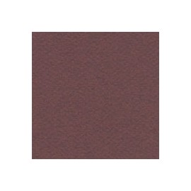 CARTULINA MI-TEINTES DE 160 G 50X65 CM