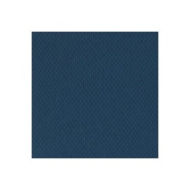CARTULINA CLASSIC TECHWEAVE DE 216 G 66X101  ...