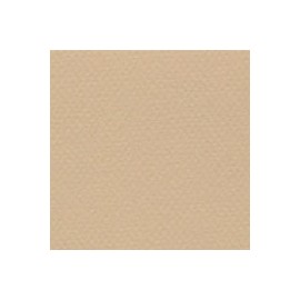 CARTULINA MI-TEINTES DE 160 G 50X65 CM
