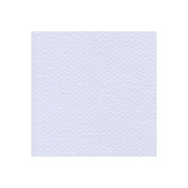 CARTULINA MI-TEINTES DE 160 G 50X65 CM