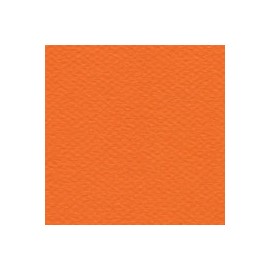 CARTULINA MI-TEINTES DE 160 G 50X65 CM