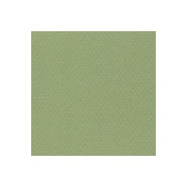CARTULINA MI-TEINTES DE 160 G 50X65 CM