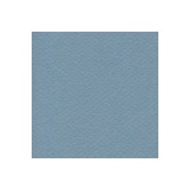 CARTULINA MI-TEINTES DE 160 G 50X65 CM
