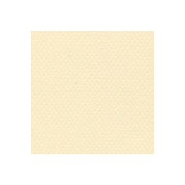 CARTULINA MI-TEINTES DE 160 G 50X65 CM