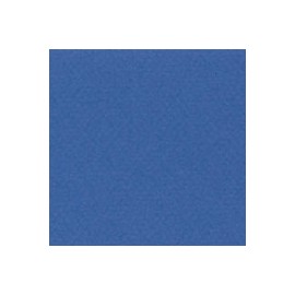 CARTULINA MI-TEINTES DE 160 G 50X65 CM