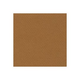 CARTULINA MI-TEINTES DE 160 G 50X65 CM