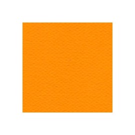 CARTULINA MI-TEINTES DE 160 G 50X65 CM