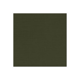 CARTULINA CLASSIC LINEN DE 216 G 66X101 CM