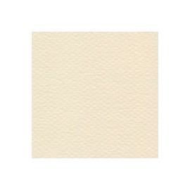 CARTULINA MI-TEINTES DE 160 G 50X65 CM