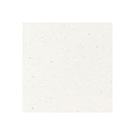 CARTULINA ENVIRONMENT DE 216 G 66X101 CM