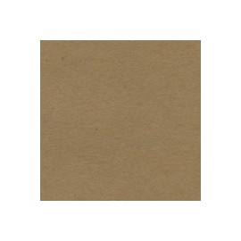 CARTULINA ENVIRONMENT RAW DE 216 G 66X101 CM