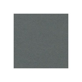 CARTULINA ENVIRONMENT RAW DE 216 G 66X101 CM