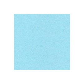 BRISTOL COLOR UNIBRISTOLINA DE 180 G 50X65 C ...
