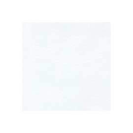 CARTULINA SUNDANCE SMOOTH DE 216 G 66X101CM