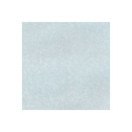 CARTULINA ASTROPARCHE DE 176G 58X89CM