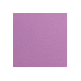 CARTULINA FIRENZE DE 160 G 70X100 CM