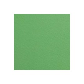 CARTULINA FIRENZE DE 160 G 70X100 CM