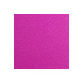 CARTULINA FIRENZE DE 160 G 70X100 CM