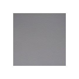 CARTULINA FIRENZE DE 160 G 70X100 CM