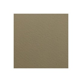 CARTULINA FIRENZE DE 160 G 70X100 CM