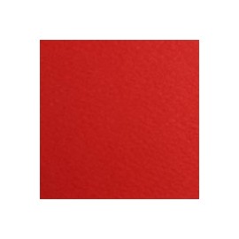 CARTULINA FIRENZE DE 160 G 70X100 CM