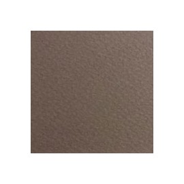 CARTULINA FIRENZE DE 160 G 70X100 CM