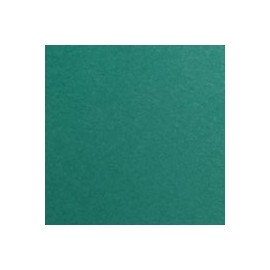 CARTULINA FIRENZE DE 160 G 70X100 CM
